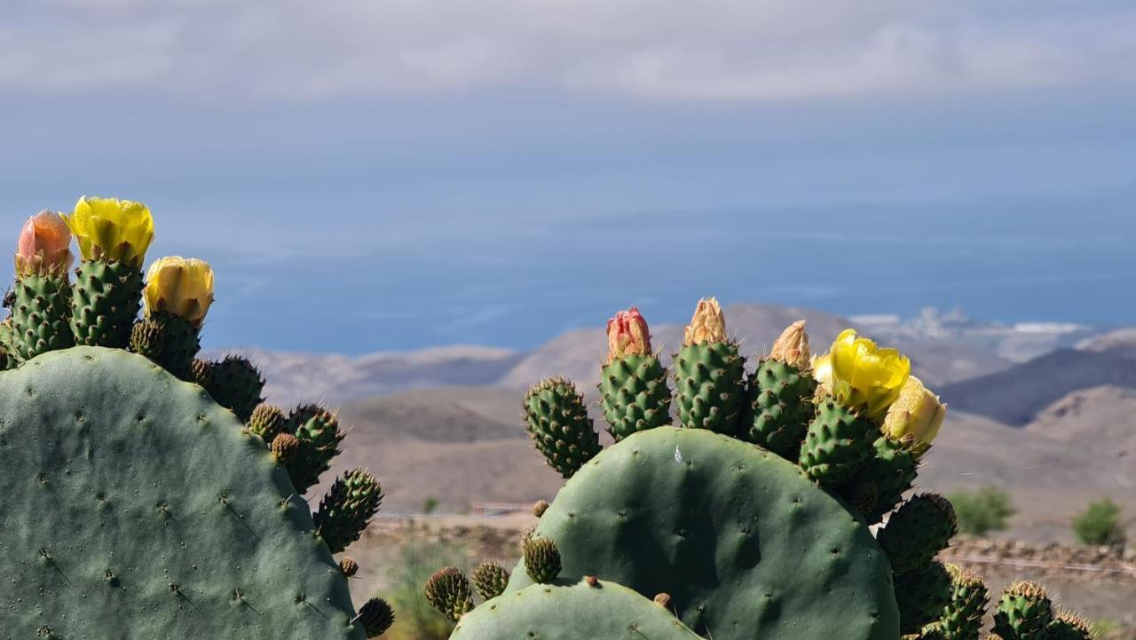 Puerto Rico Top Teide And Amadores View Eksteriør billede