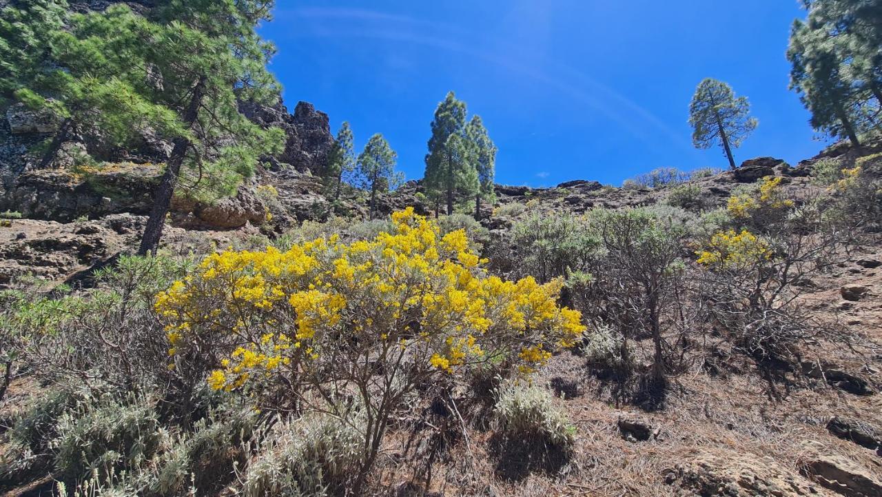 Puerto Rico Top Teide And Amadores View Eksteriør billede